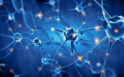 Biografía Eldon F. Wonderlic, Test de Wonderlic