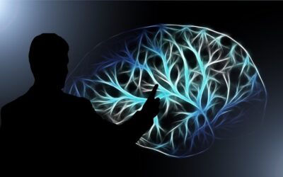 Procesos Psicológicos (Malla Carrera de Psicología, Primer Semestre)