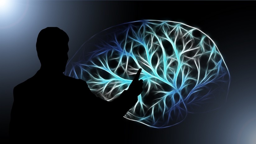 Procesos Psicológicos (Malla Carrera de Psicología, Primer Semestre)