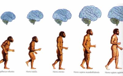 Fundamentos Socioantropológicos (Malla Psicología, Segundo Semestre)