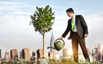 Desarrollo Organizacional