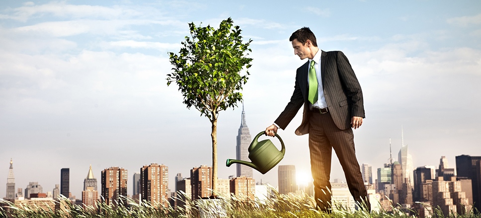 Desarrollo Organizacional