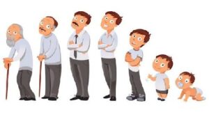 Psicología del Desarrollo