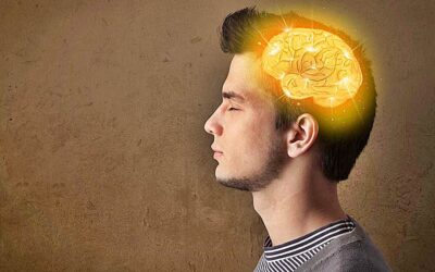 Teorías Cognitivas (Malla Psicología, Tercer Semestre)