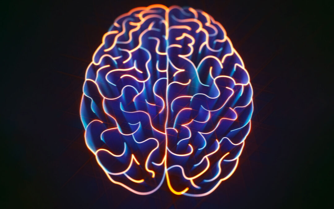 Neurociencias (Malla Psicología, Tercer Semestre)