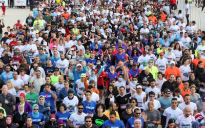 Psicología Social II (Malla Psicología, Tercer Semestre)