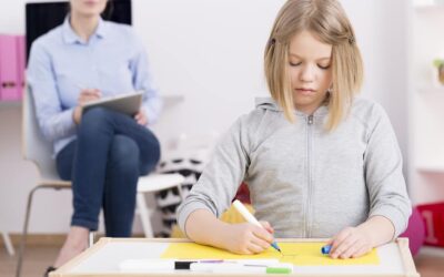 WISC V, Aportes en Chile